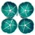 Vintage Cabbage Ware Dinnerware - Service for Four - Twelve Pieces For Sale - Image 9 of 11