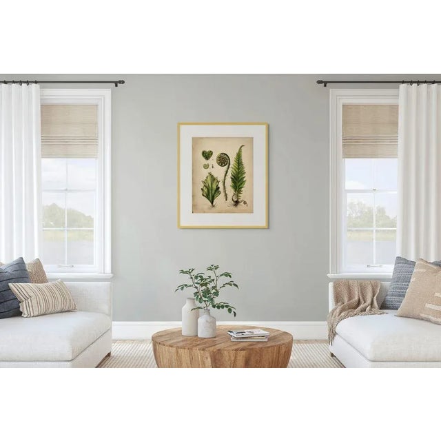 Dark Green Set of 6 - 8' X 10' 'Fiddlehead Fern Studies' Dark Green Botanical Floral Prints, Unframed For Sale - Image 8 of 9