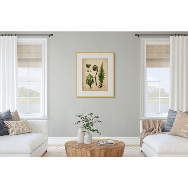 Dark Green Set of 6 - 'Fiddlehead Fern Studies' Dark Green Botanical Prints, Unframed For Sale - Image 8 of 9