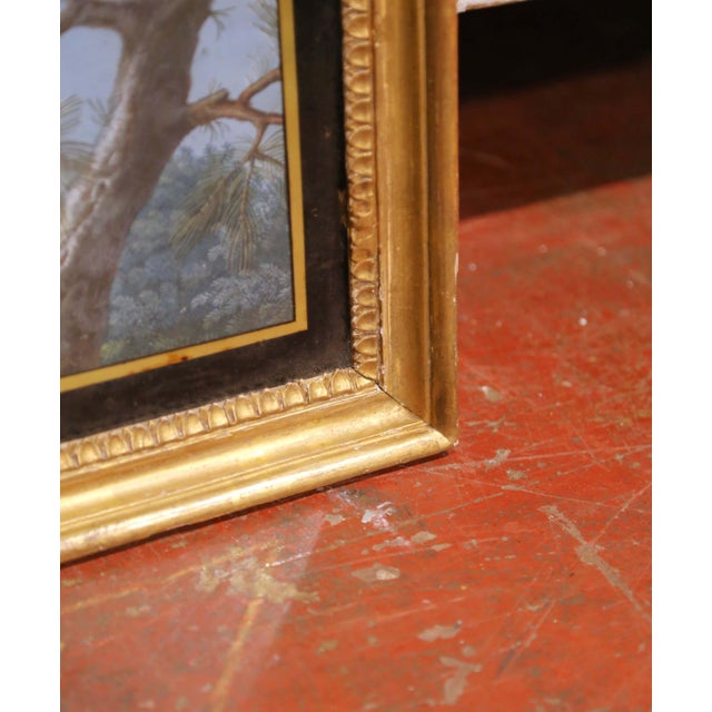 Wood 19th Century French Fixé Sous Verre Bird Painting in Carved Giltwood Frame For Sale - Image 7 of 8