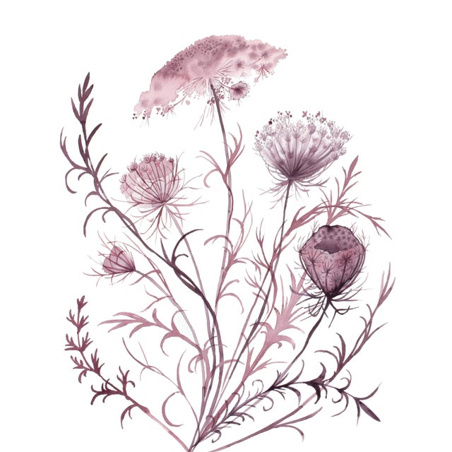"Queen Anne's Lace No. 21" Contemporary Original Botanical Flowers Watercolor Painting by Elizabeth Becker For Sale