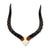 African Impala Horn - V Skull For Sale - Image 4 of 4