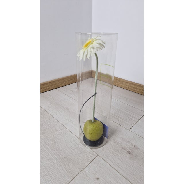 Metal Eva Mono Fiore Flower Vase by Claudia Hamers for Oggetti Latini, 1990s For Sale - Image 7 of 16