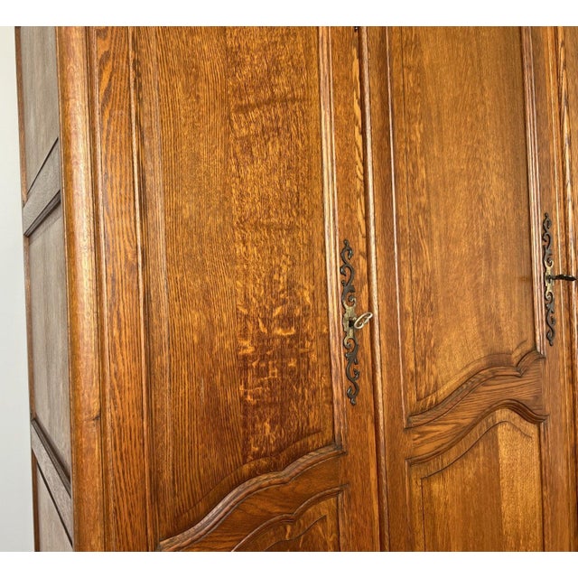 Wood Vintage French Louis XVI Style Wardrobe in Oak For Sale - Image 7 of 15