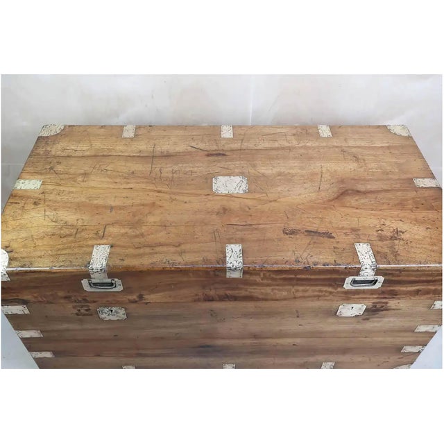 Large Antique 19th Century Camphor Wood Trunk, Hong Kong, 1890s For Sale - Image 4 of 12