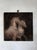 This artwork features two horse figures, one rendered in a rich, earthy palette, while the other appears as a ghostly...