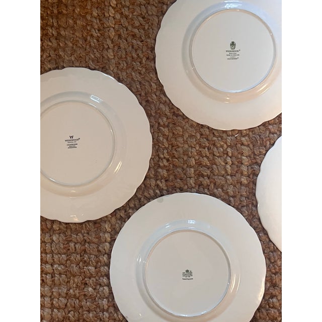 English 1950s Coleport & Wedgwood Countryware Dinner Plates For Sale - Image 3 of 6