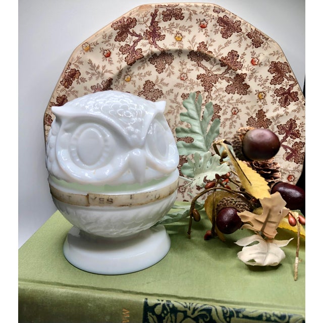 Fenton Art Glass Company Fenton Milk Glass Owl Decision Maker Fortune Spinner Ring Holder. For Sale - Image 4 of 12
