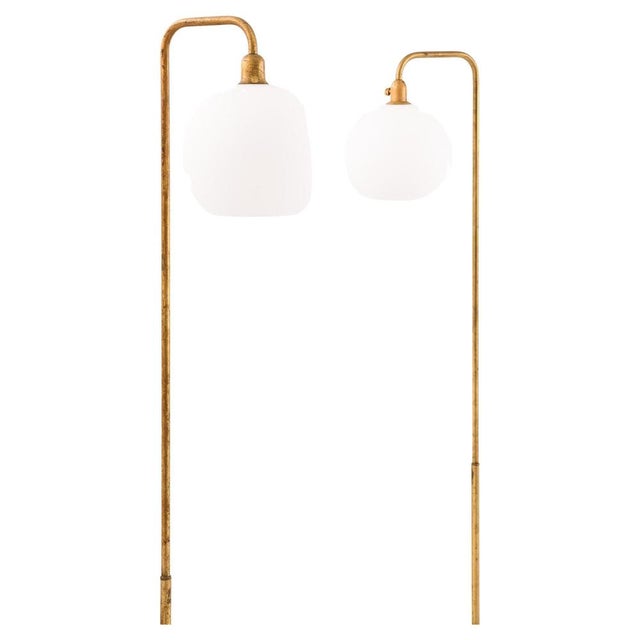 Gold Floor Lamp in Brass and Opaline Glass, 1950s For Sale - Image 8 of 8
