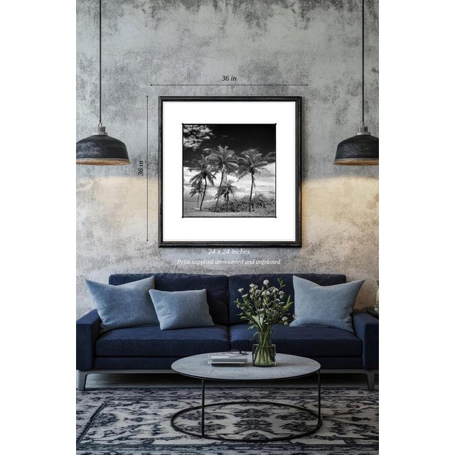 Fine art Giclee prints on Hahnemuhle Photo Rag 308gsm - a 100% cotton, acid-free, mould-made paper. Printed to Fine Art...