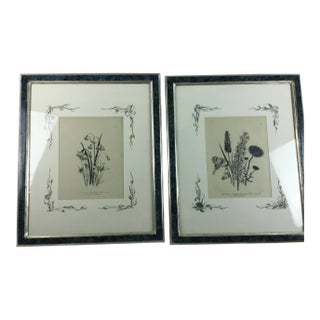 English Botanical Water Color Silhouette Framed Prints by Julia Winship - a Pair For Sale