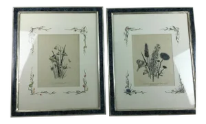 English Botanical Water Color Silhouette Framed Prints by Julia Winship - a Pair