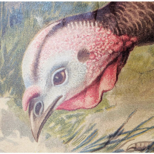 Antique Educational Wall Chart, Lithograph, Turkey, 19th Century For Sale - Image 4 of 8