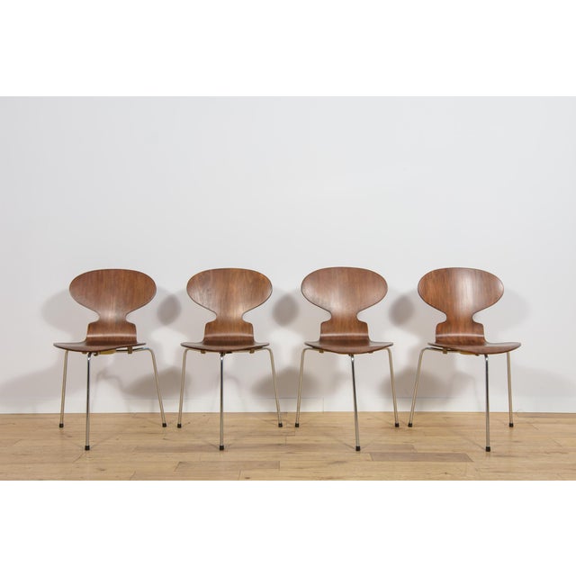 Fritz Hansen Mid-Century Model 3101 Ant Dining Chairs by Arne Jacobsen for Fritz Hansen, Denmark, 1970s, Set of 4 For Sale - Image 4 of 18