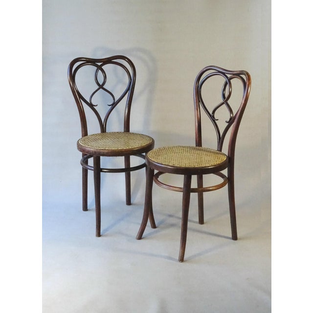 No. 561 Chairs by Michael Thonet for Gebrüder Thonet, 1925, Set of 2 For Sale - Image 6 of 13