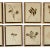 Antique Herbarium Botanicals, 1897 — Set of 10 For Sale In Los Angeles - Image 6 of 17