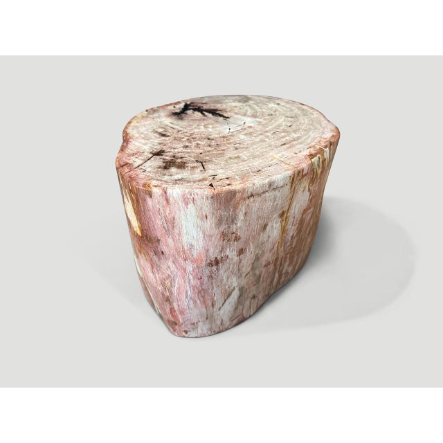 Wood Andrianna Shamaris Coral Toned High Quality Petrified Wood Side Table For Sale - Image 7 of 18