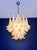 Vintage Italian Murano Chandelier with Acid-Etched Amber Glass Petals, 1990s For Sale - Image 13 of 17