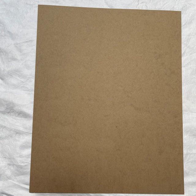 1964 "American Magpie" Bird Print After Audubon For Sale In Seattle - Image 6 of 9