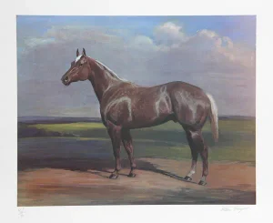 Helen Hayse, "Quarterhorse," Lithograph
