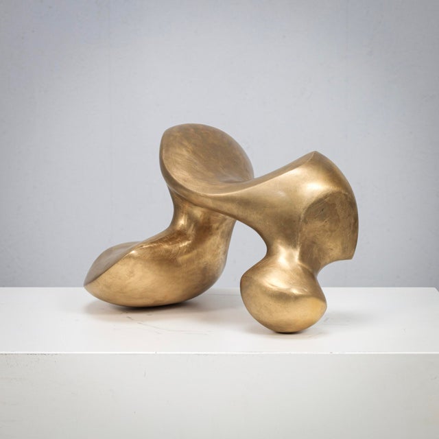 2000 - 2009 Felix Van de Beek, Abstract Biomorphic Sculpture, 21st Century, Bronze For Sale - Image 5 of 10