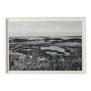 Klaus Gemming, Cormorant Cove Photograph, Framed
