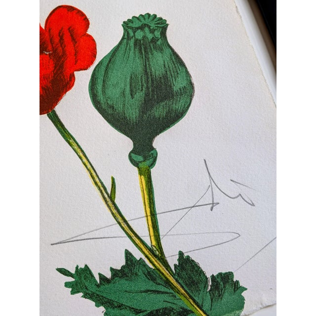 Salvador Dali, Autumn (M&L 1370), 1972, Hand-Signed Original Color Lithograph For Sale - Image 4 of 18