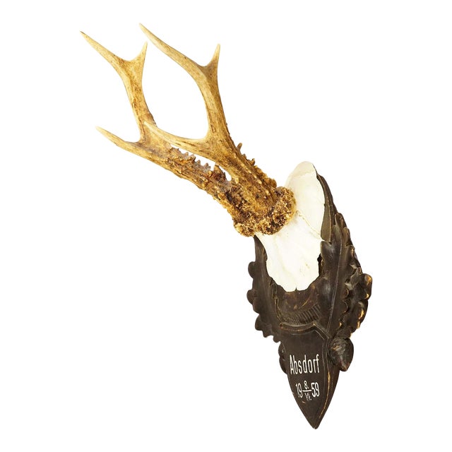 Great Deer Trophy Mount on Wooden Carved Plaque 1959 For Sale