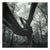 Paul Cooklin, Fallen Tree, Edition of 50 For Sale
