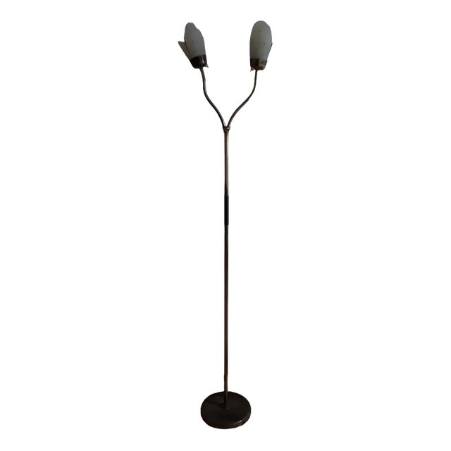 German Flexible 2-Flame Floor Lamp with Brass Frame, 1950s For Sale