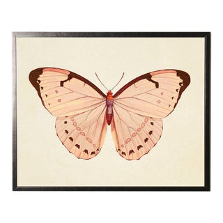 Horizontal Pink Butterfly Print in Pewter Shadowbox For Sale