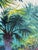 "Palm Shade" Large Watercolor Painting For Sale - Image 9 of 11