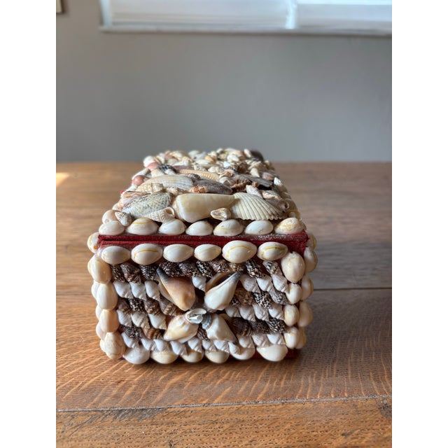 Vintage English Shell Box For Sale - Image 4 of 8