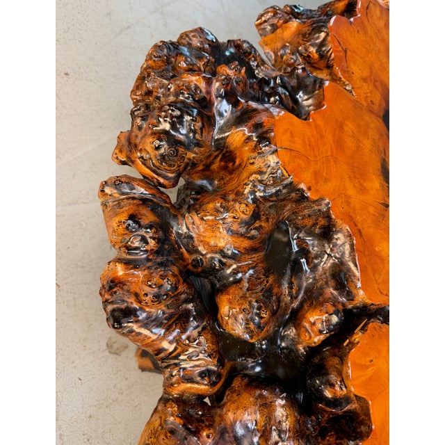 Vintage 1970s California Redwood Burl Live Edge Coffee Table on Redwood Stump Base For Sale - Image 15 of 15