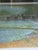 P. Buckley Moss "Concord Bridge" Signed Lithograph 63/1000 Framed Matted For Sale - Image 14 of 17