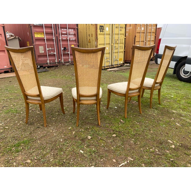 1970s Vintage Mid Century Modern Cane Back Dining Chairs Set of 4 For Sale - Image 5 of 12