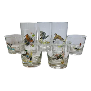 Mid 20th Century Ned Smith Bird Glasses- Set of 7