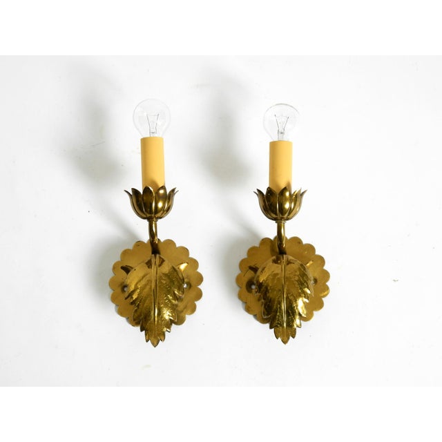 Mid-Century Modern Floral Wall Lamps in Brass, 1950s, Set of 2 For Sale - Image 14 of 18