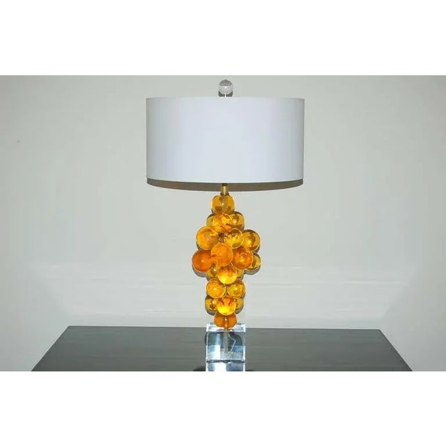 Mid-Century Modern Vintage Butterscotch Resin Lamps by Silvano Pantani 1966 For Sale - Image 3 of 9