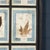 Black 20th Century Italian Large Oak Frame with Pressed Flowers and Herbs For Sale - Image 8 of 18