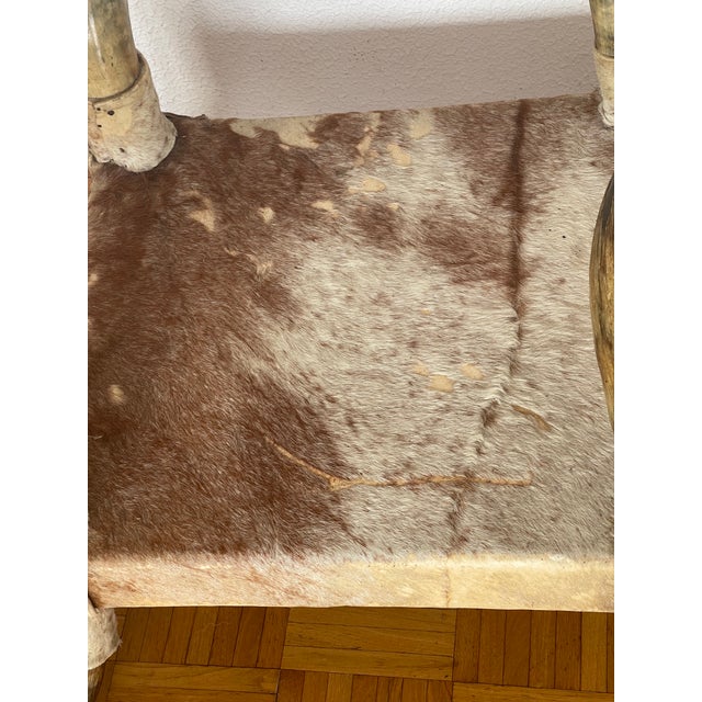 Mid 20th Century Texas Horn Cowhide Low Chair For Sale In Miami - Image 6 of 8