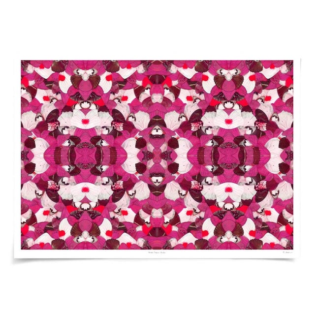 Drawing from a massive archive of specimens, butterfly wings are hand-selected and digitally arranged in this...