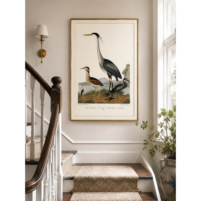 Paper Great Heron & Marsh Birds, Vintage Natural History Art Print Reproduction, 16" X 24" For Sale - Image 7 of 9