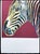 After Andy Warhol, Grevys Zebra Deep Pink, 1980s, Lithograph For Sale - Image 4 of 7