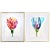 Tulips Watercolor Paintings - a Set of Two For Sale - Image 12 of 13