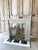 Small Carrara Marble Fireplace, 1900s For Sale - Image 3 of 14