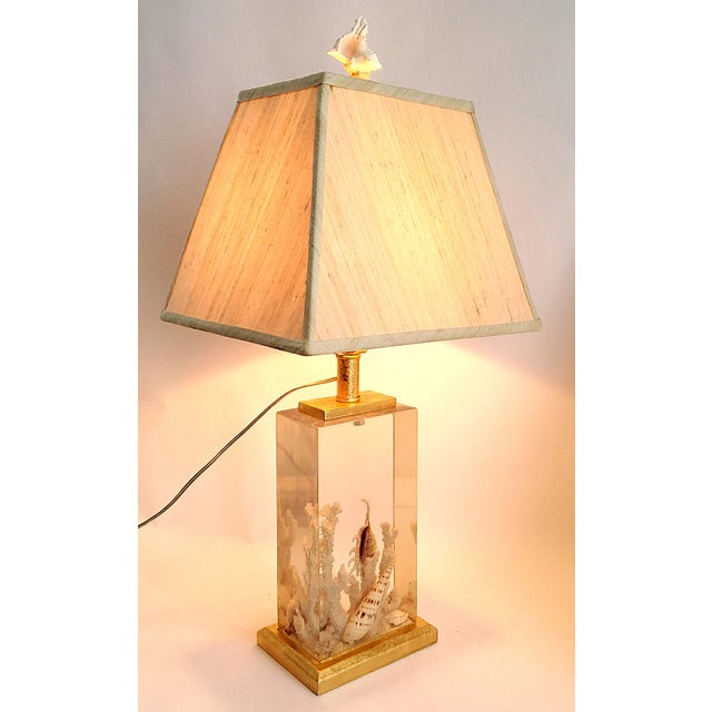 Lamp Seashells & Shells For Sale - Image 9 of 9