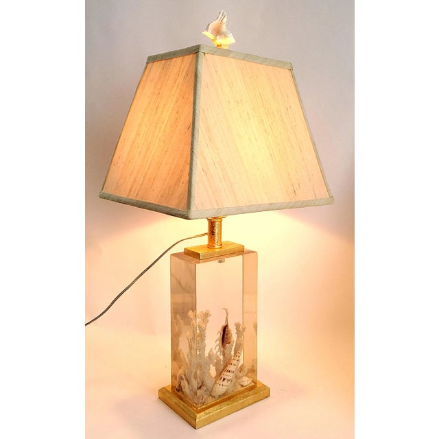 Lamp Shells Seashells Lucite Aquarium & Shade For Sale - Image 9 of 9