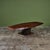 Live edge coffee table with thick, elongated, solid redwood slab table top. The tabletop rests atop an organic shaped...