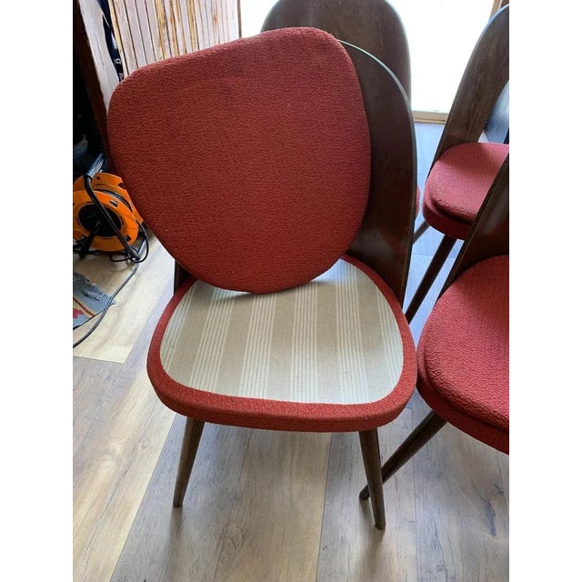 Mid-Century Modern Mid-Century Dining Chairs by Antonín Šuman for Tatra Furniture, 1960s, Set of 4 For Sale - Image 3 of 8